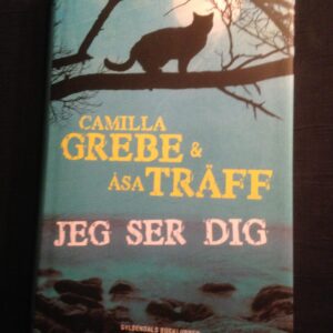 Camilla Grebe & Åsa Träffs - Jeg ser dig